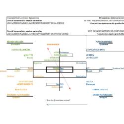 Mdsociale7 1